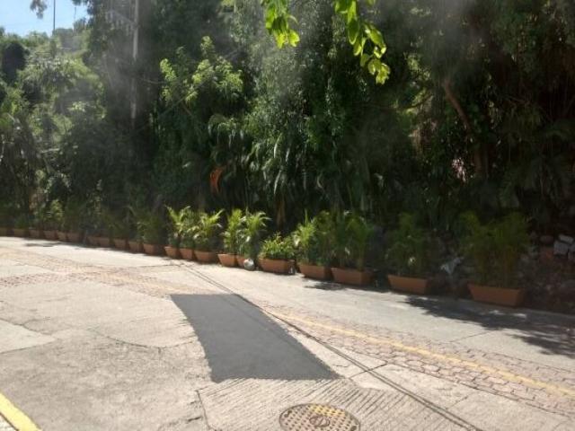 #VT126 - Terreno para Venta en Acapulco - GR - 3