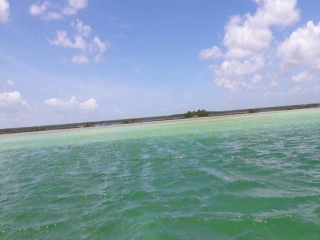 #196 - Área para Venta en Bacalar - QR - 3