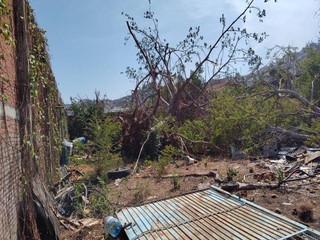 Área para Venta en Acapulco - 4