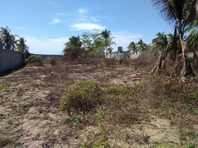 Área para Venta en Acapulco - 4